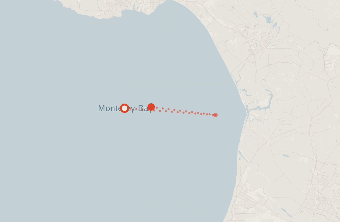 Activity map — real sighting points on an OpenStreetMap basemap