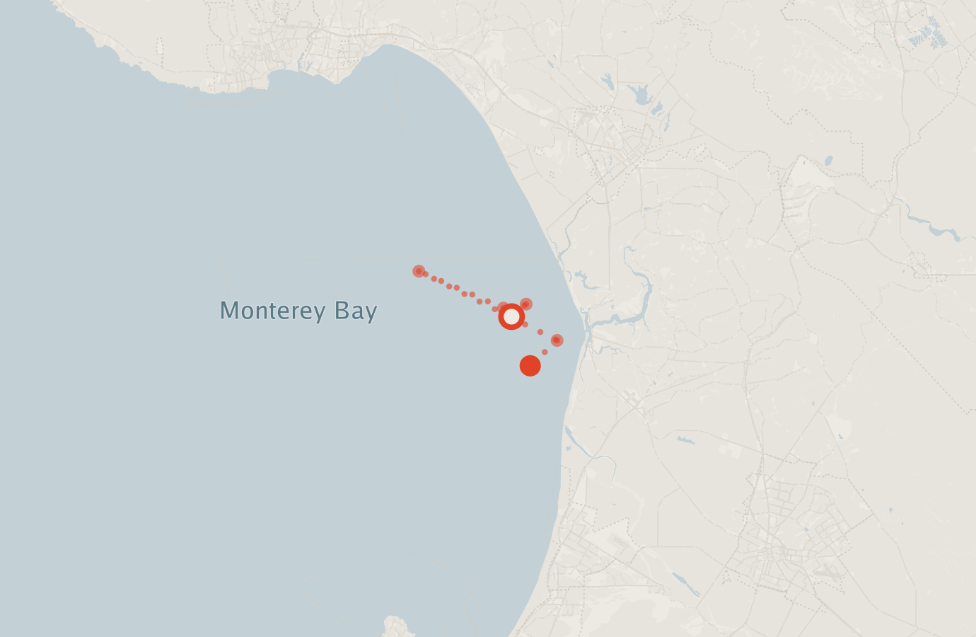 Activity map — real sighting points on an OpenStreetMap basemap
