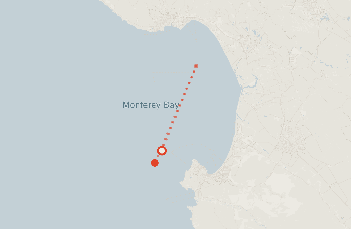Activity map — real sighting points on an OpenStreetMap basemap