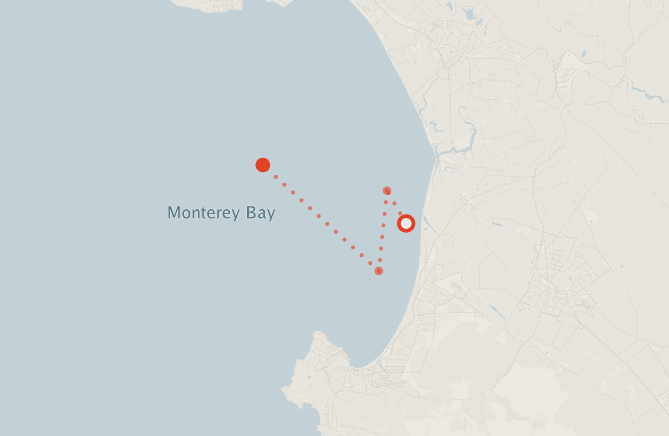 Activity map — real sighting points on an OpenStreetMap basemap