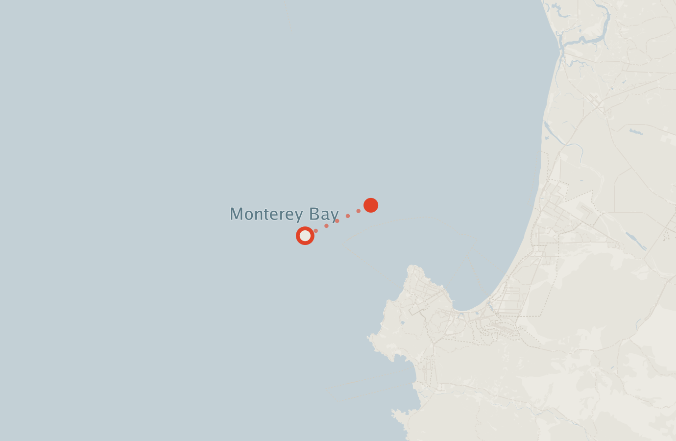 Activity map — real sighting points on an OpenStreetMap basemap