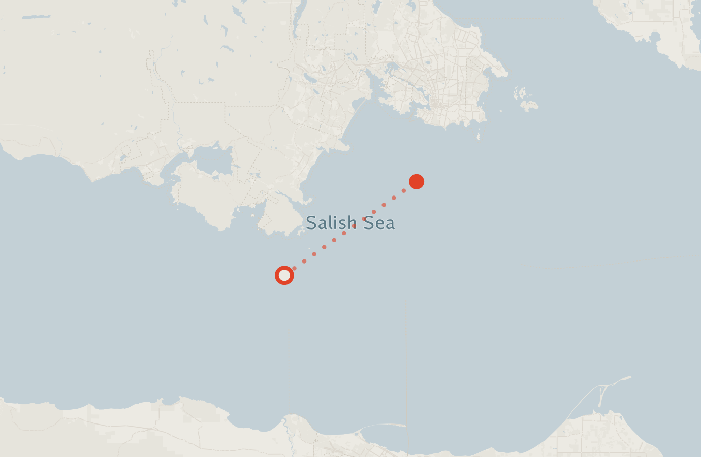 Activity map — real sighting points on an OpenStreetMap basemap
