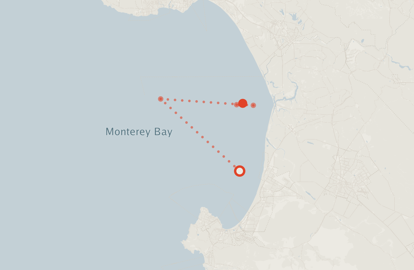 Activity map — real sighting points on an OpenStreetMap basemap