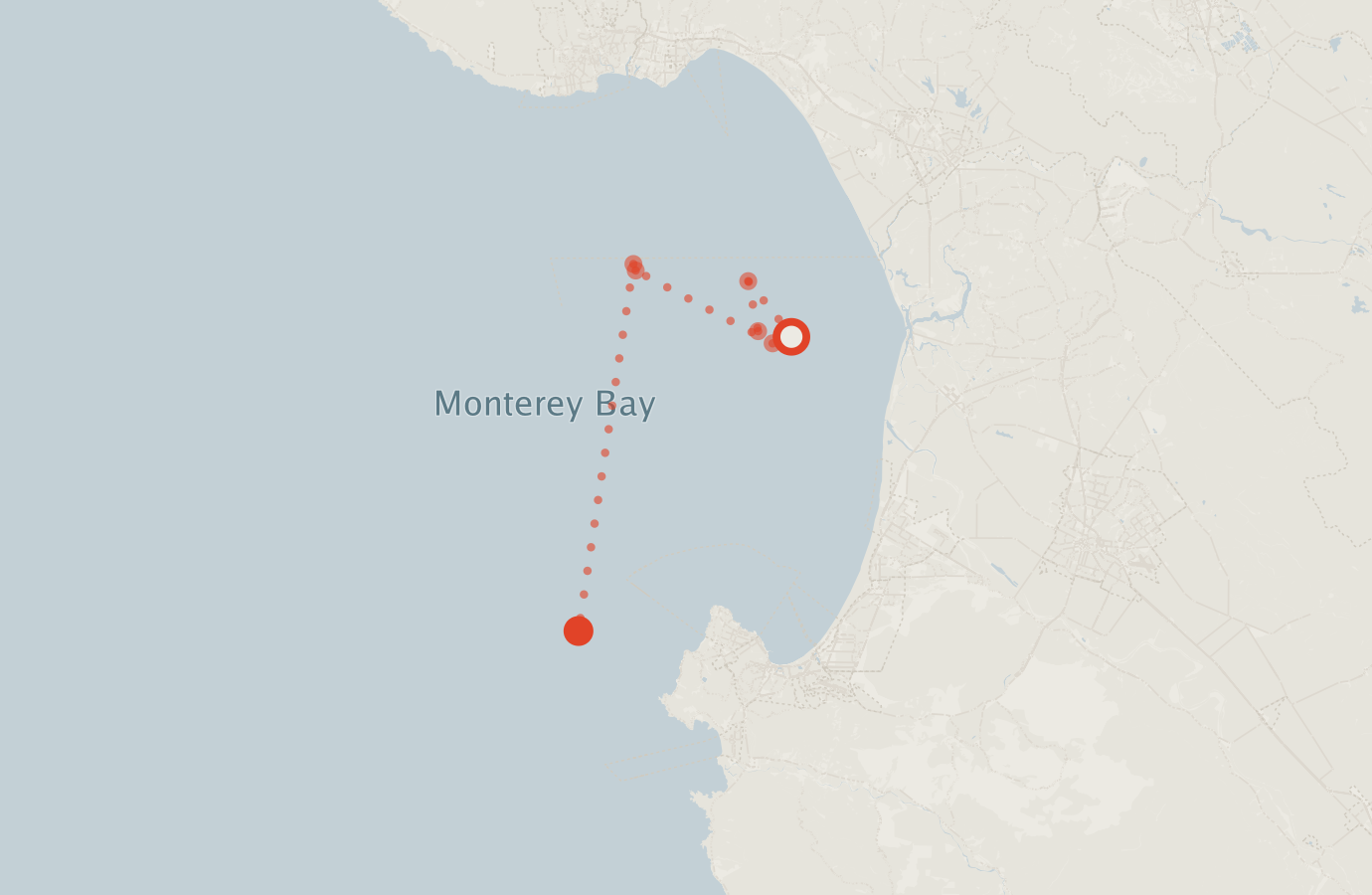 Activity map — real sighting points on an OpenStreetMap basemap