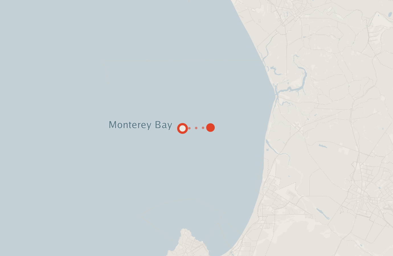 Activity map — real sighting points on an OpenStreetMap basemap