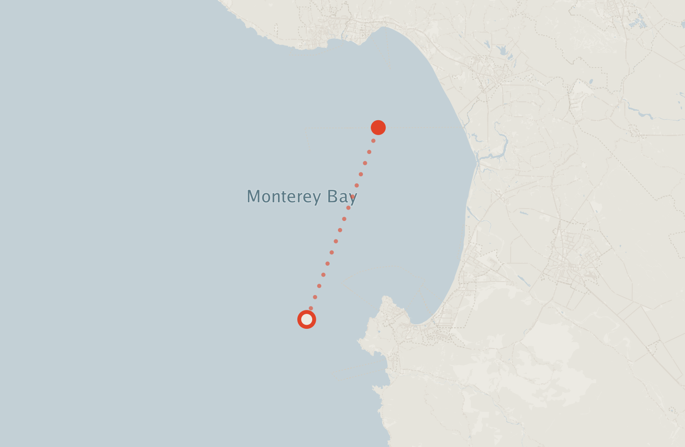 Activity map — real sighting points on an OpenStreetMap basemap
