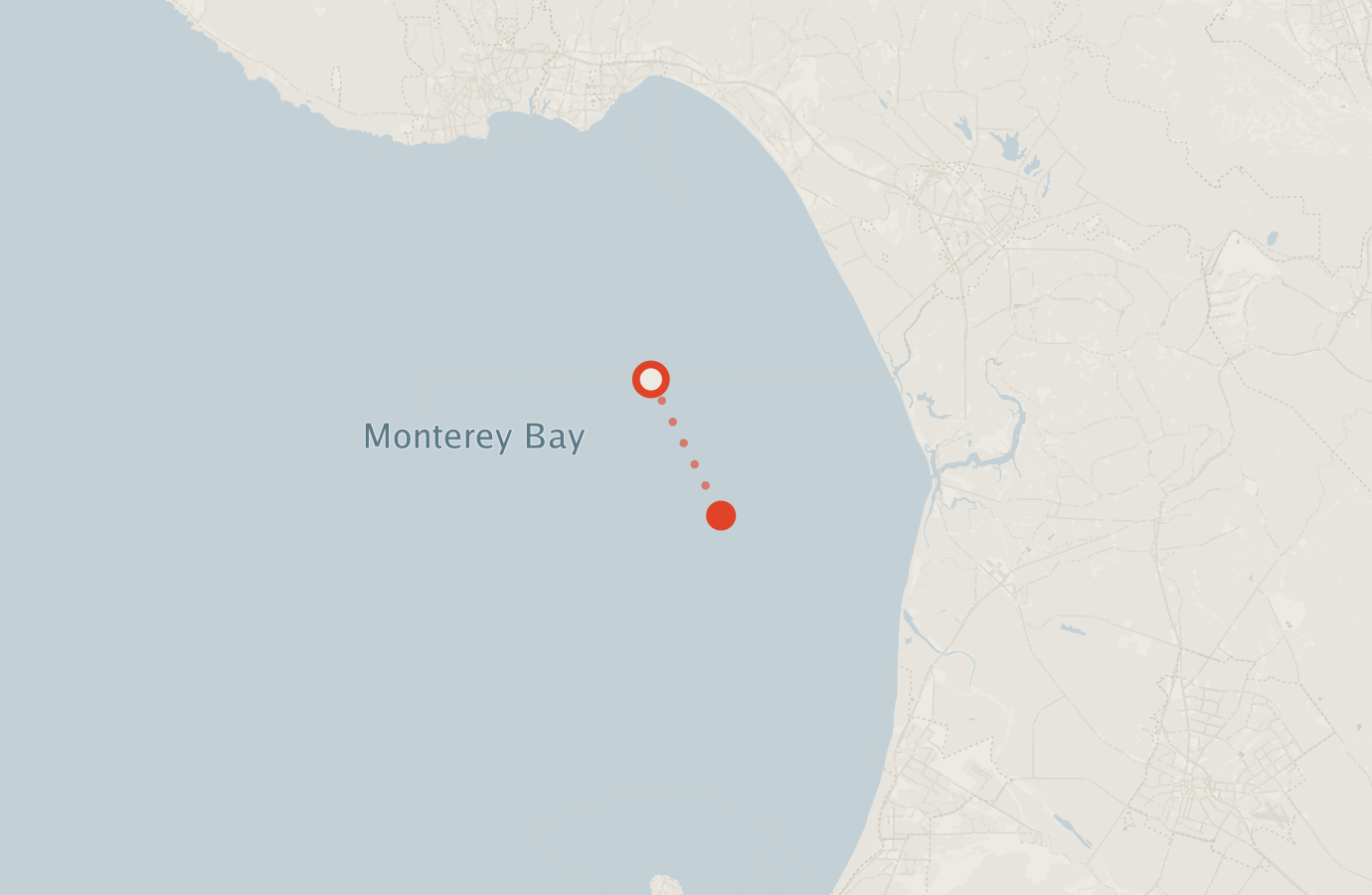 Activity map — real sighting points on an OpenStreetMap basemap