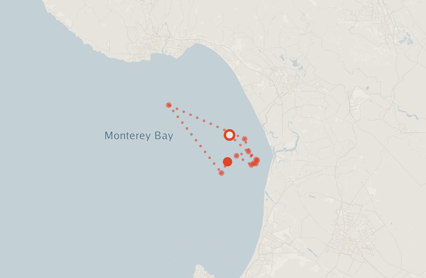Activity map — real sighting points on an OpenStreetMap basemap