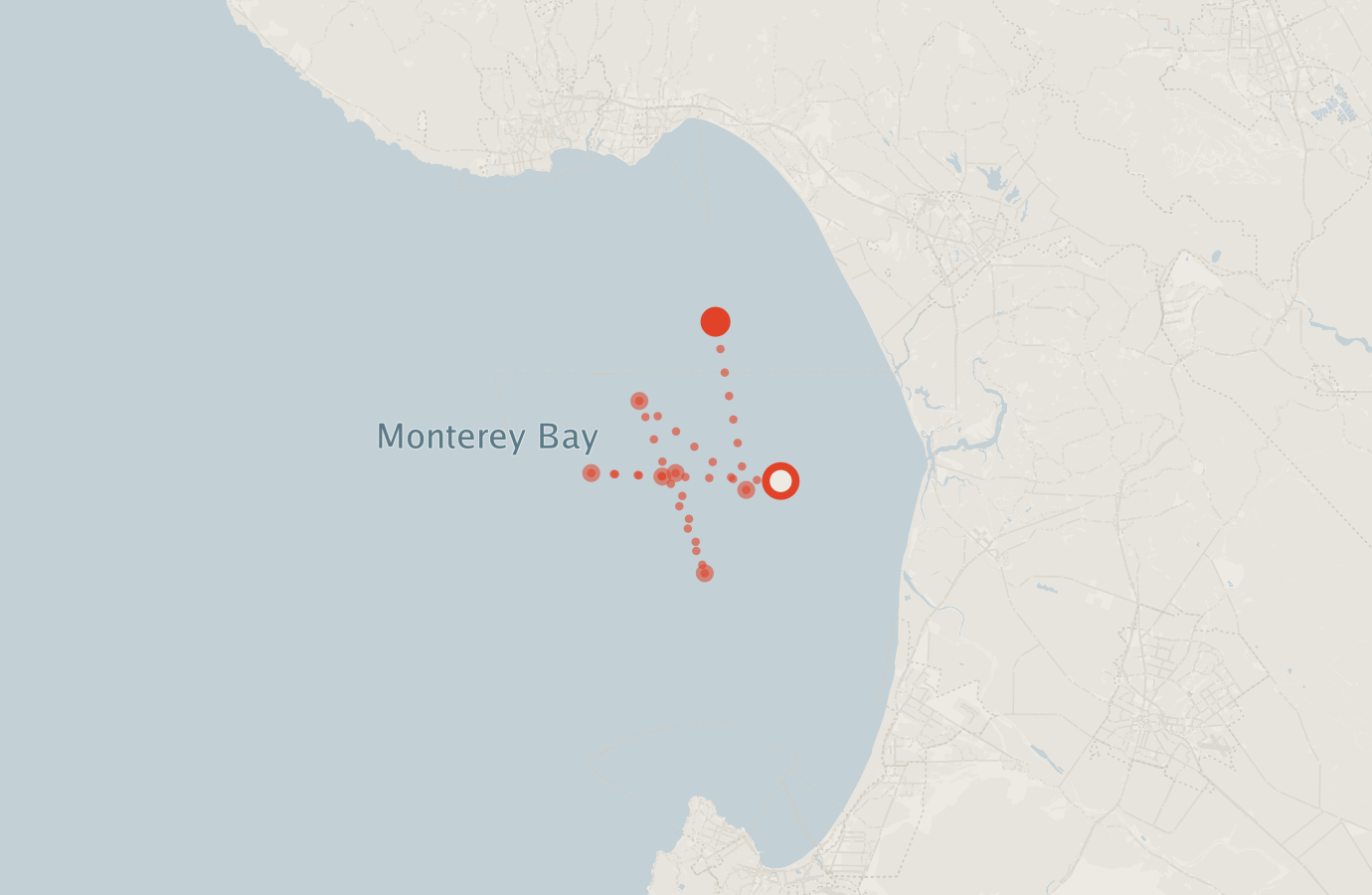 Activity map — real sighting points on an OpenStreetMap basemap