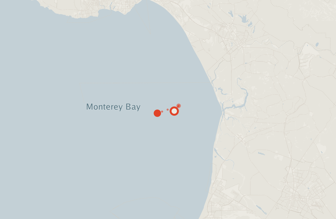 Activity map — real sighting points on an OpenStreetMap basemap