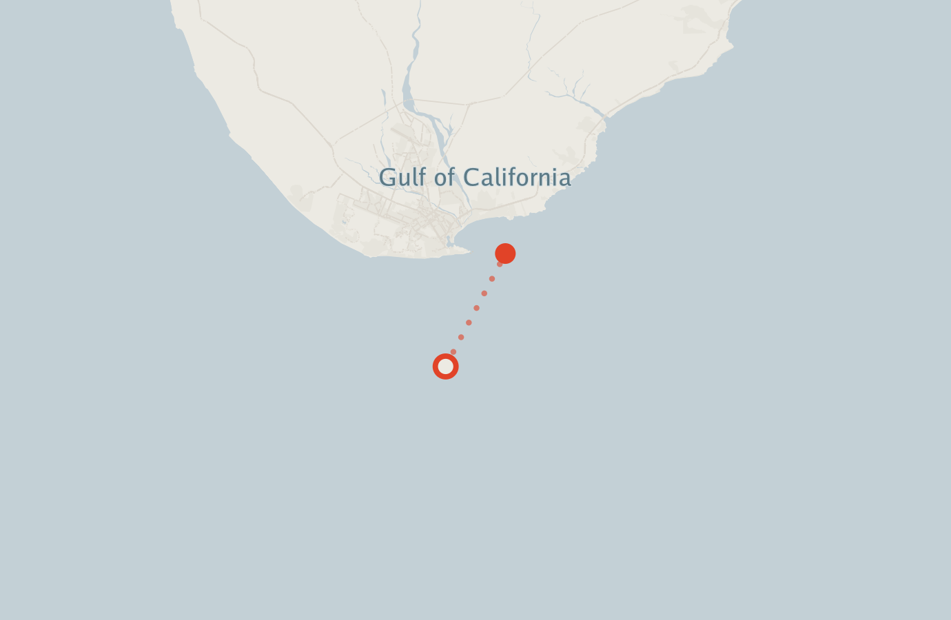 Activity map — real sighting points on an OpenStreetMap basemap