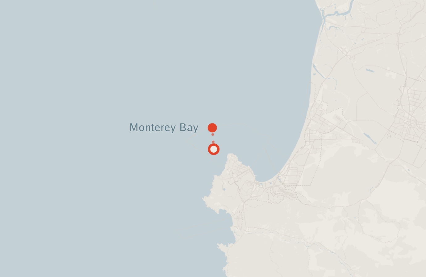 Activity map — real sighting points on an OpenStreetMap basemap