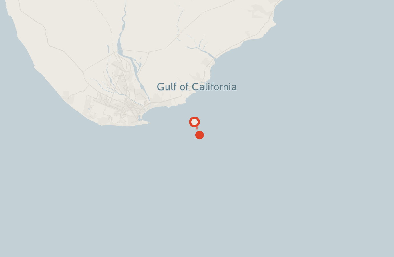 Activity map — real sighting points on an OpenStreetMap basemap