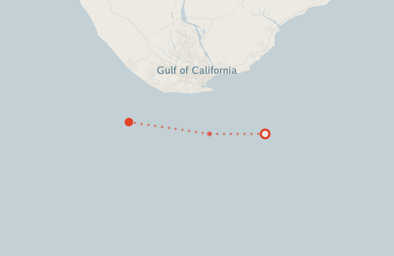 Activity map — real sighting points on an OpenStreetMap basemap