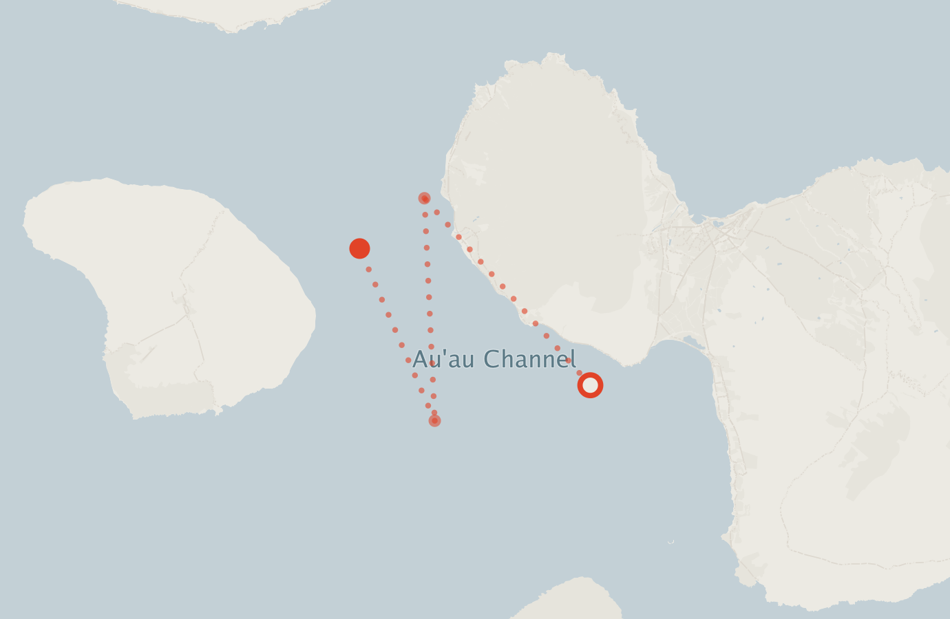 Activity map — real sighting points on an OpenStreetMap basemap