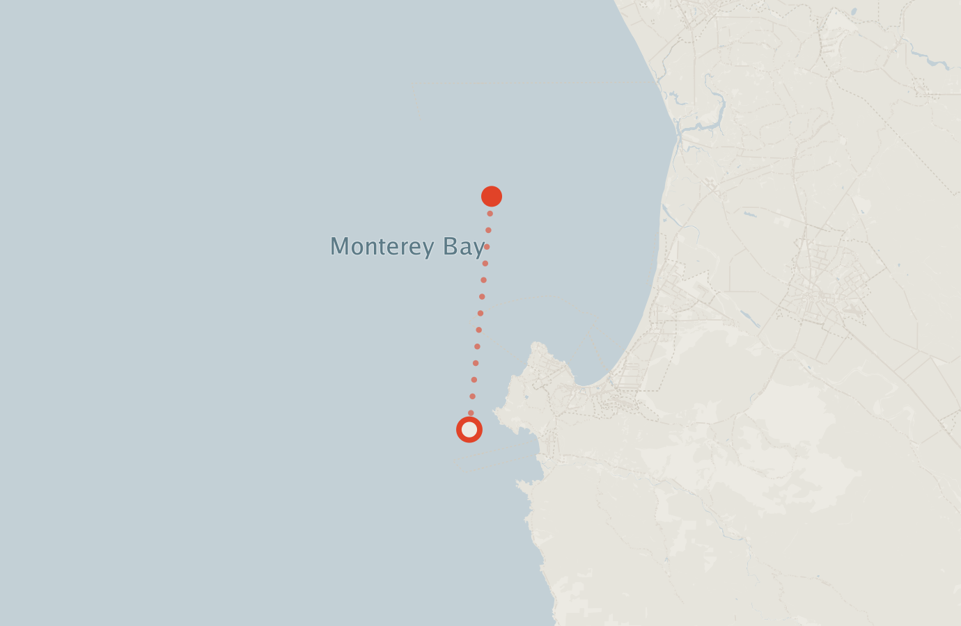 Activity map — real sighting points on an OpenStreetMap basemap