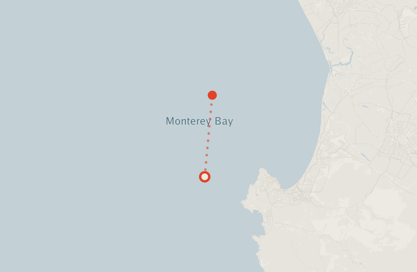 Activity map — real sighting points on an OpenStreetMap basemap