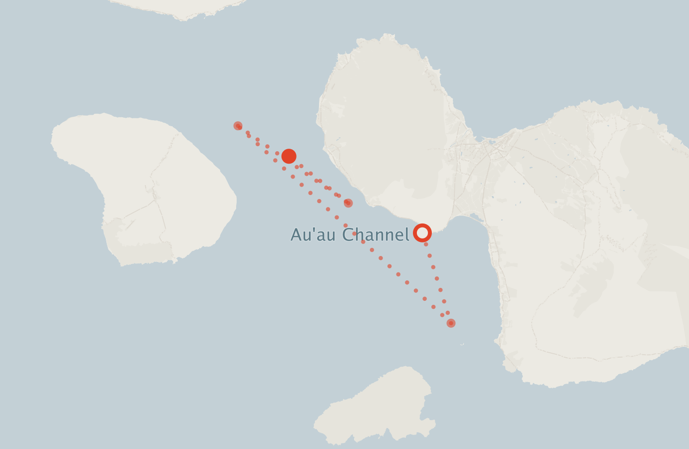 Activity map — real sighting points on an OpenStreetMap basemap