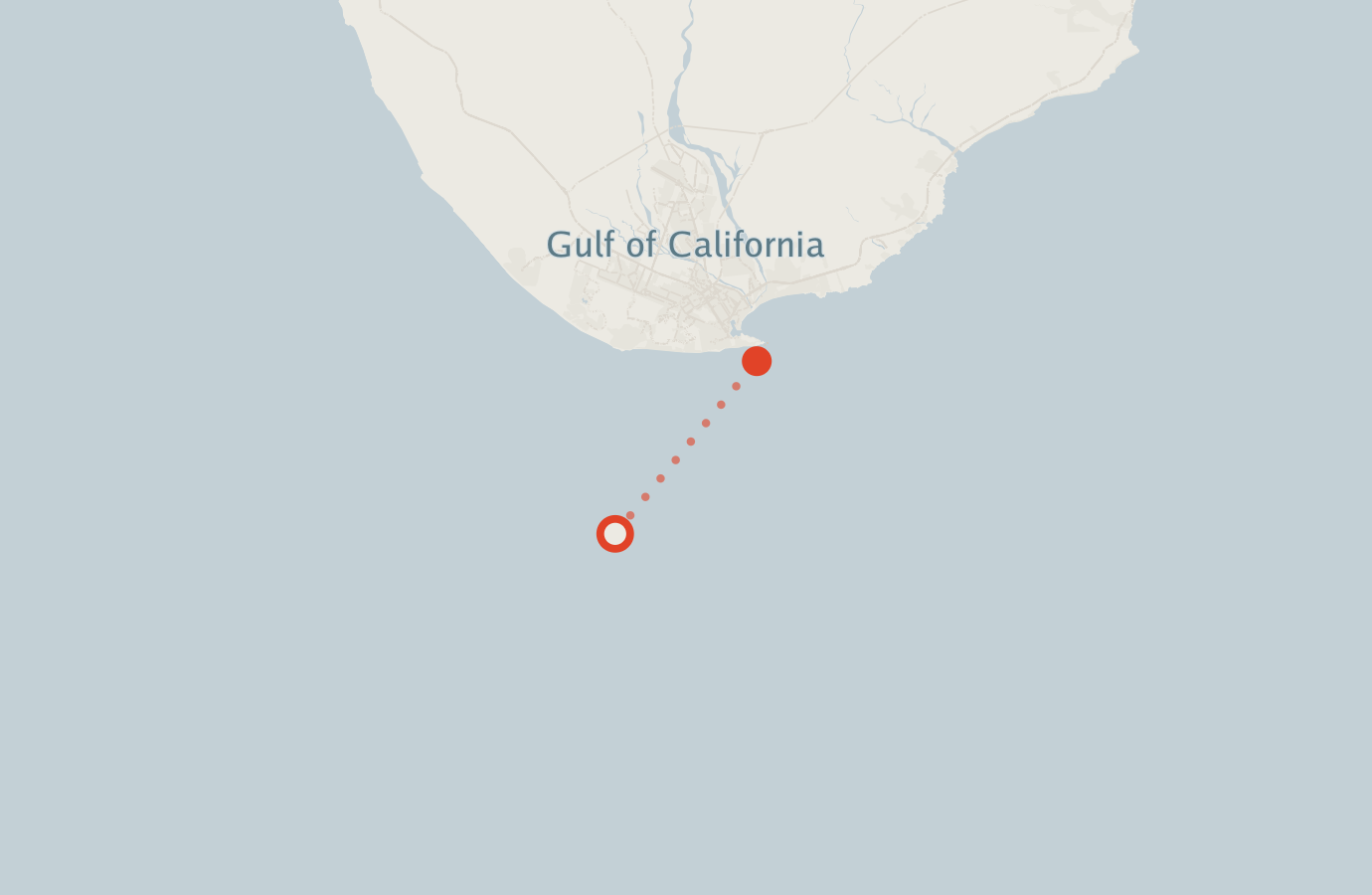 Activity map — real sighting points on an OpenStreetMap basemap