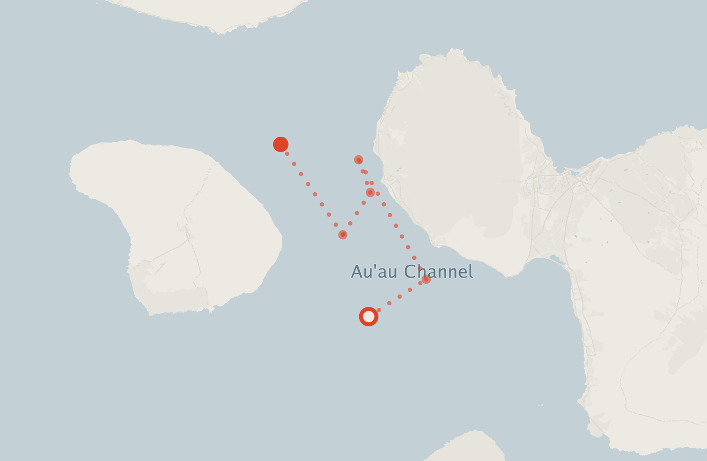 Activity map — real sighting points on an OpenStreetMap basemap