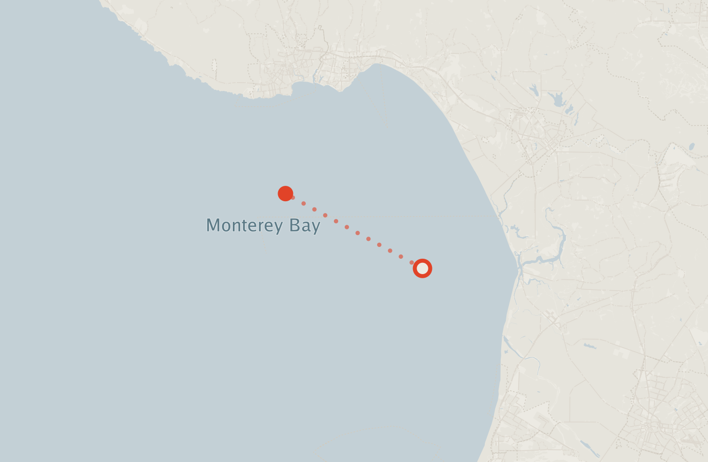 Activity map — real sighting points on an OpenStreetMap basemap