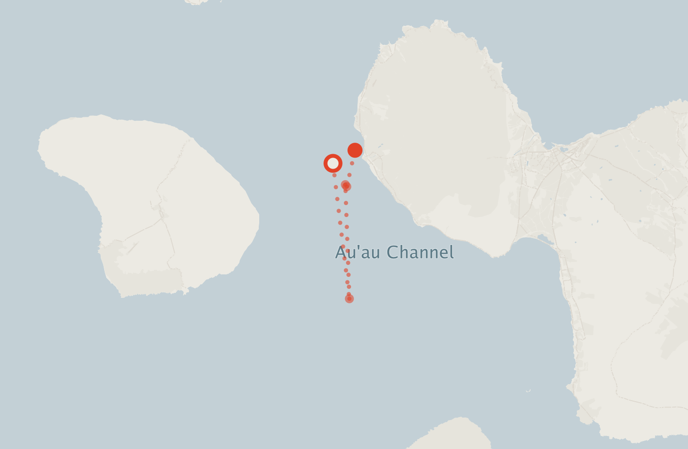 Activity map — real sighting points on an OpenStreetMap basemap