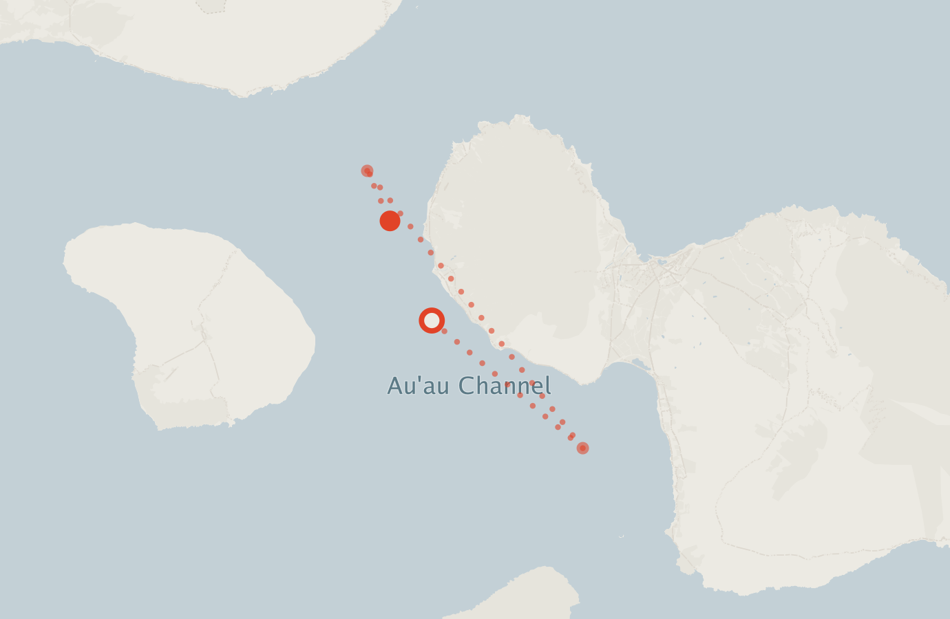 Activity map — real sighting points on an OpenStreetMap basemap