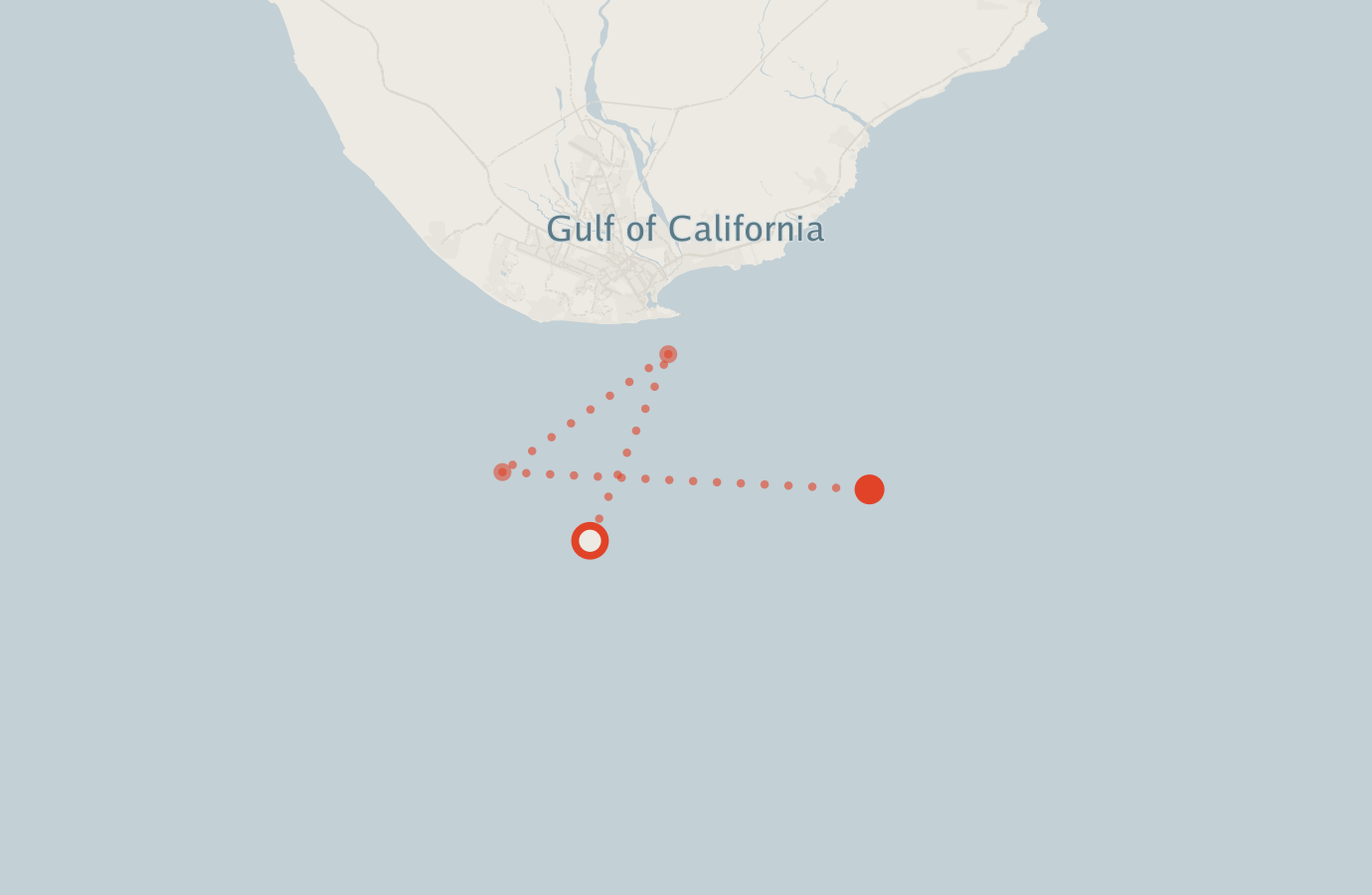 Activity map — real sighting points on an OpenStreetMap basemap