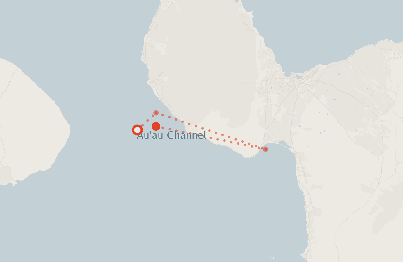Activity map — real sighting points on an OpenStreetMap basemap