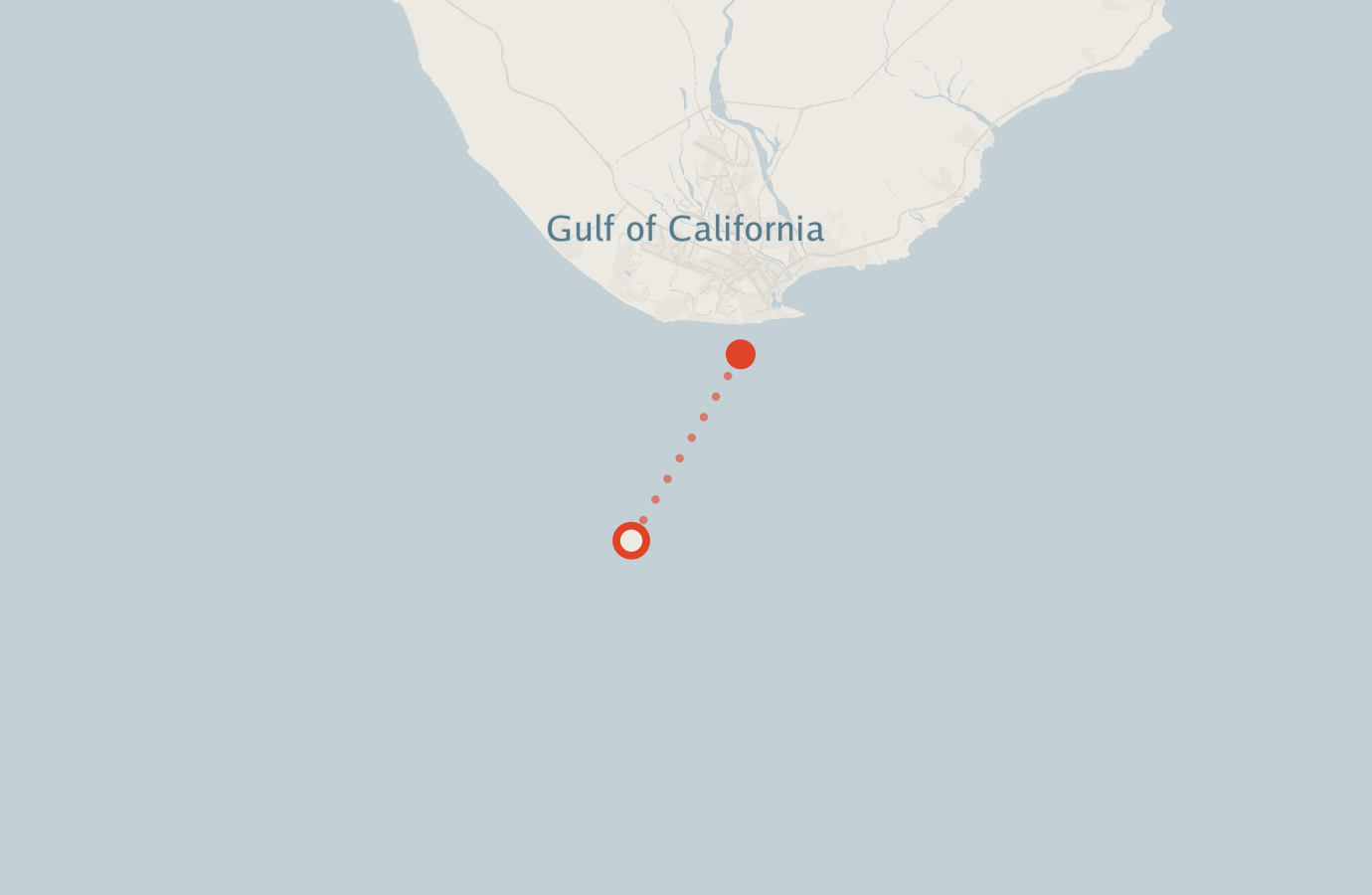 Activity map — real sighting points on an OpenStreetMap basemap