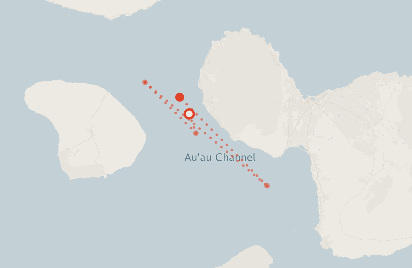 Activity map — real sighting points on an OpenStreetMap basemap