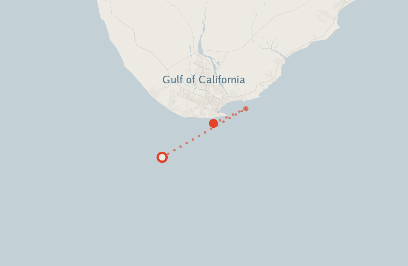 Activity map — real sighting points on an OpenStreetMap basemap