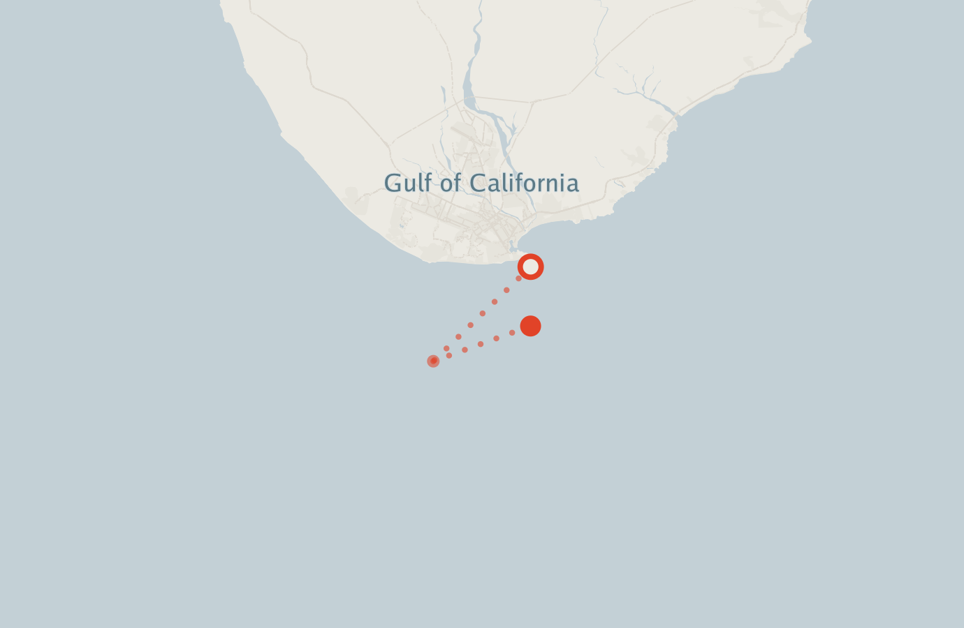 Activity map — real sighting points on an OpenStreetMap basemap