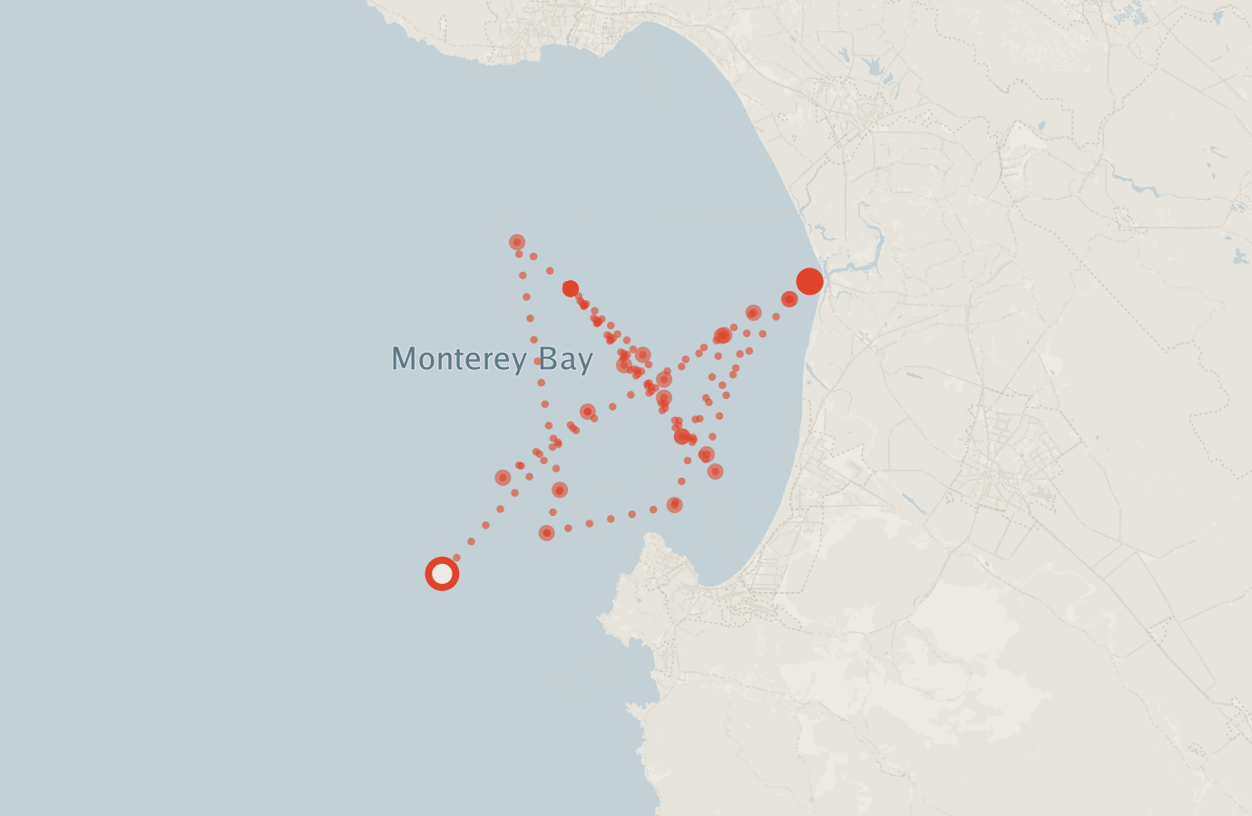 Activity map — real sighting points on an OpenStreetMap basemap