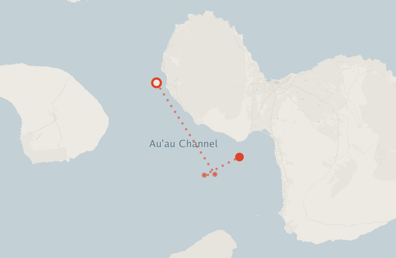 Activity map — real sighting points on an OpenStreetMap basemap