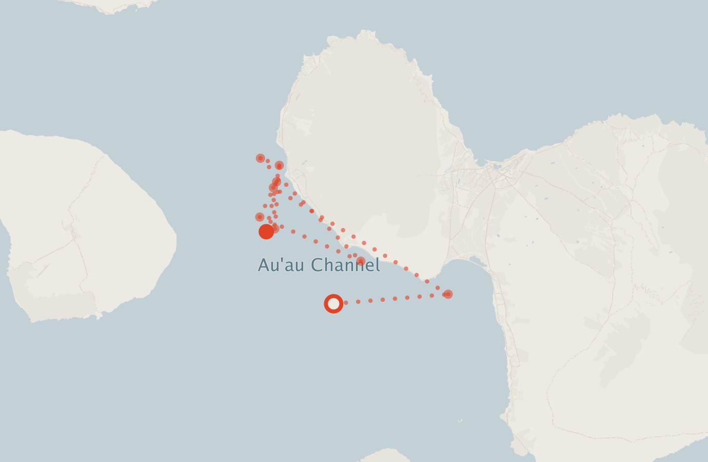 Activity map — real sighting points on an OpenStreetMap basemap