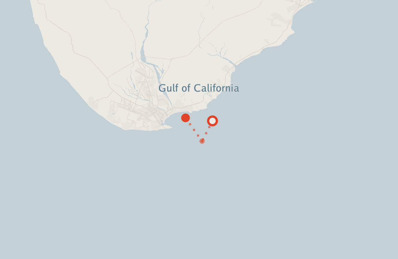Activity map — real sighting points on an OpenStreetMap basemap