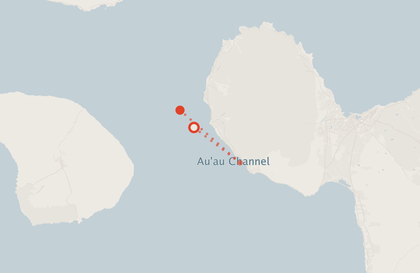 Activity map — real sighting points on an OpenStreetMap basemap