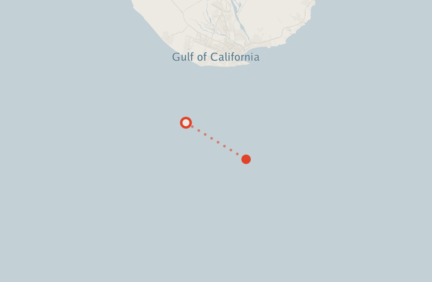 Activity map — real sighting points on an OpenStreetMap basemap