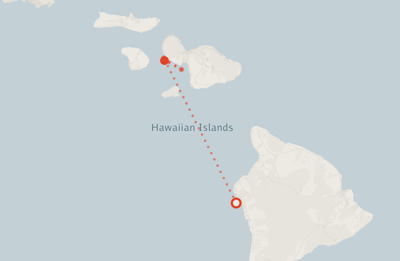 Activity map — real sighting points on an OpenStreetMap basemap