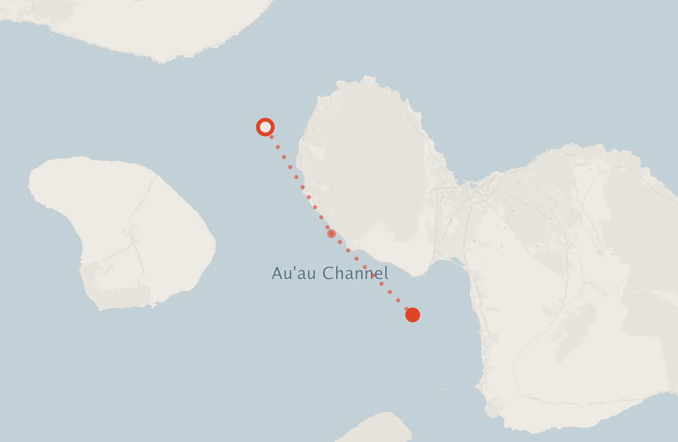 Activity map — real sighting points on an OpenStreetMap basemap