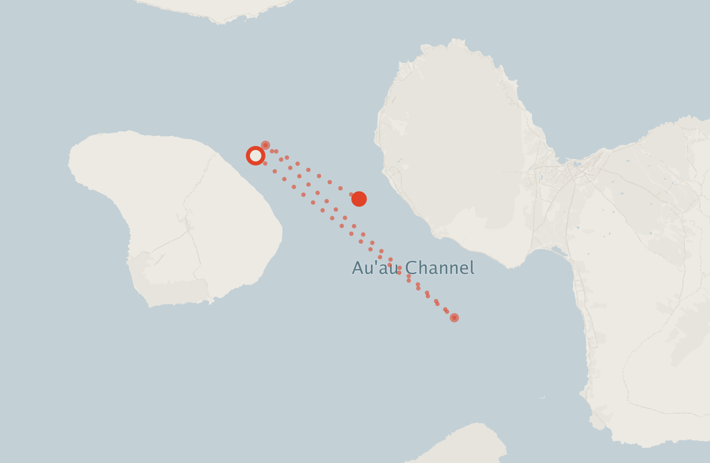 Activity map — real sighting points on an OpenStreetMap basemap