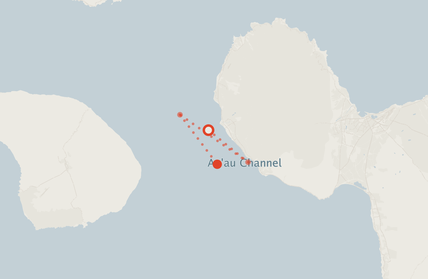 Activity map — real sighting points on an OpenStreetMap basemap