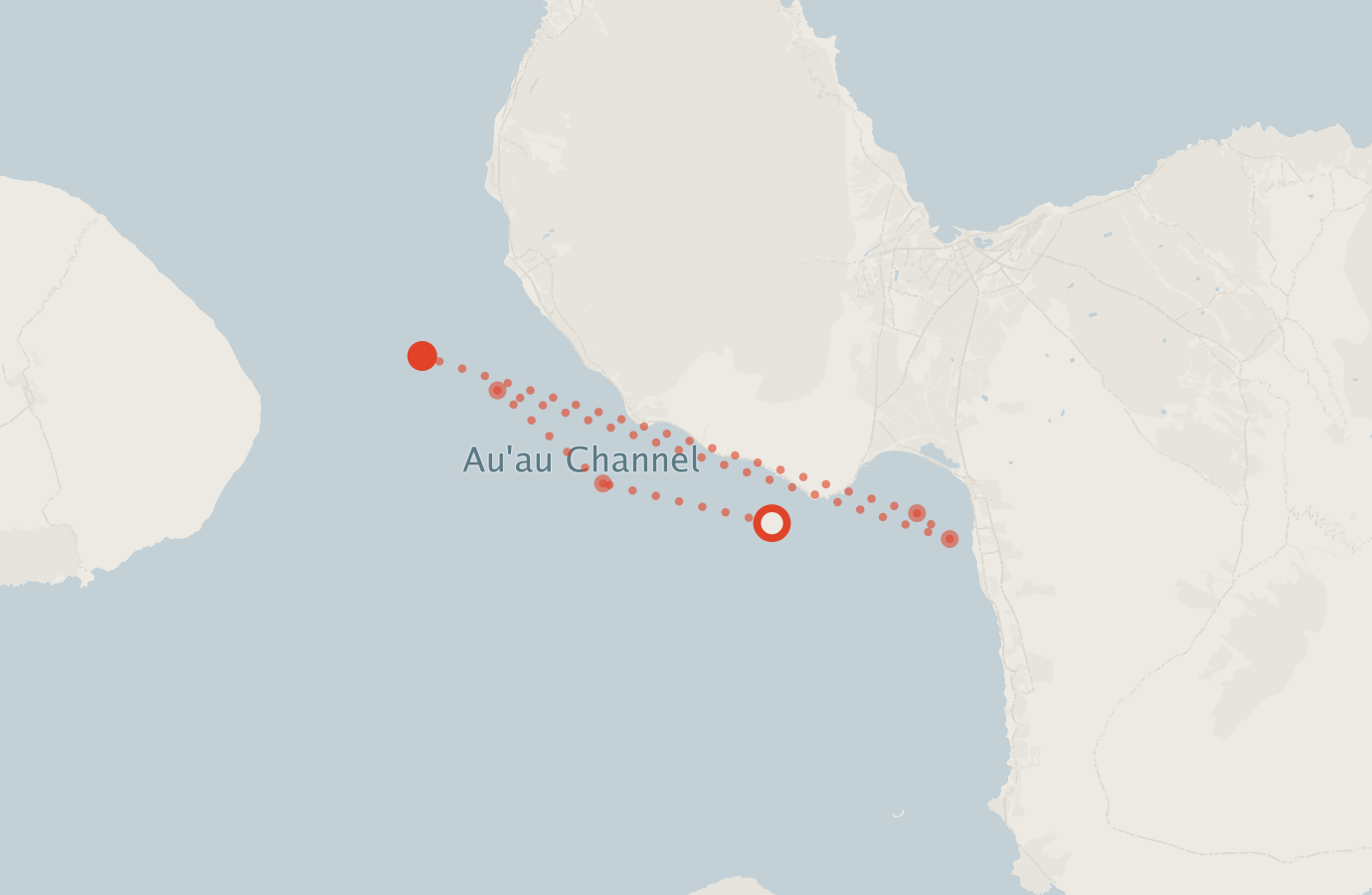Activity map — real sighting points on an OpenStreetMap basemap