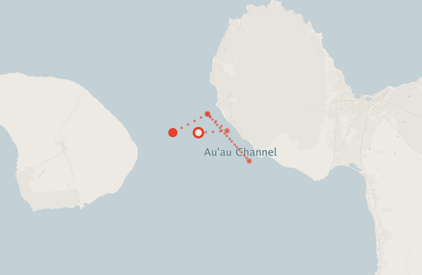 Activity map — real sighting points on an OpenStreetMap basemap