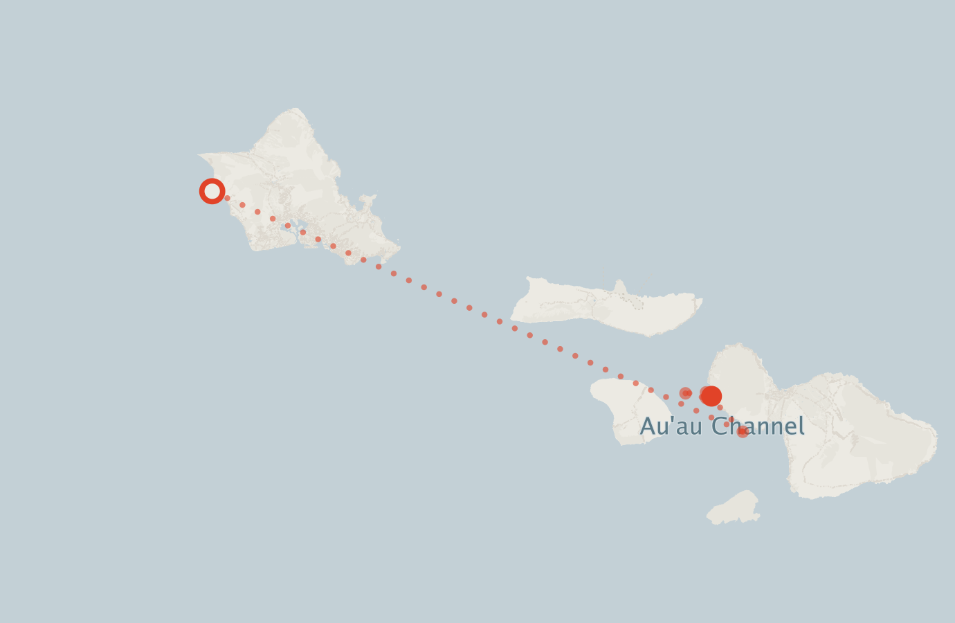 Activity map — real sighting points on an OpenStreetMap basemap