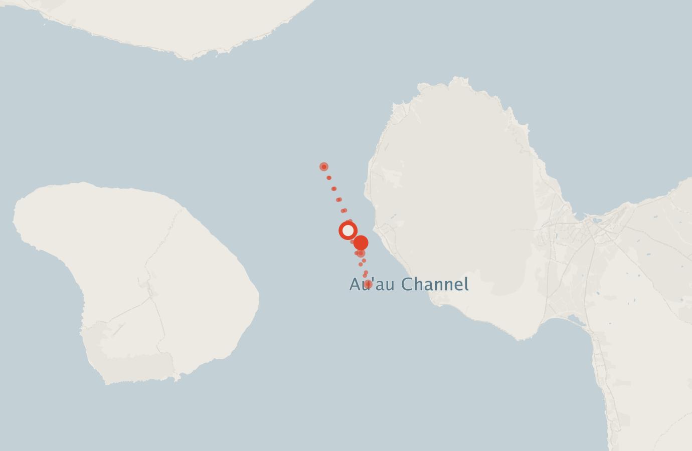 Activity map — real sighting points on an OpenStreetMap basemap