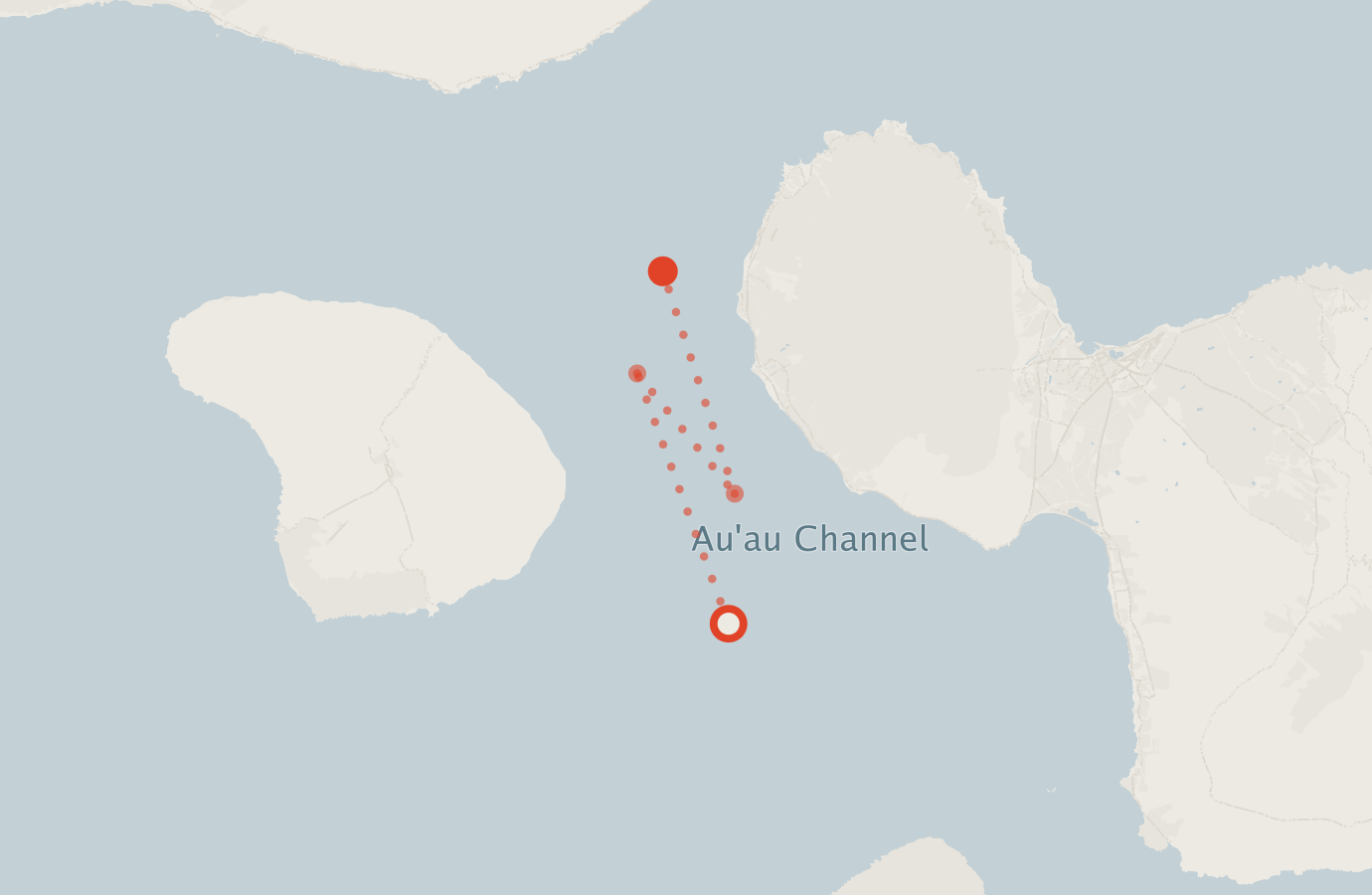 Activity map — real sighting points on an OpenStreetMap basemap