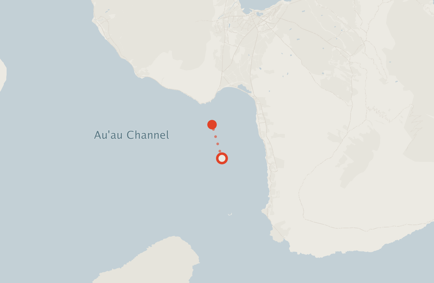 Activity map — real sighting points on an OpenStreetMap basemap