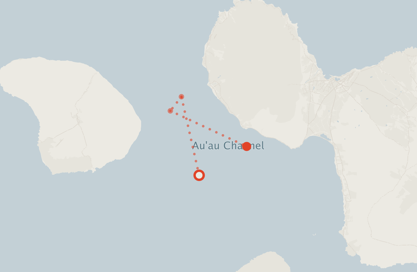Activity map — real sighting points on an OpenStreetMap basemap